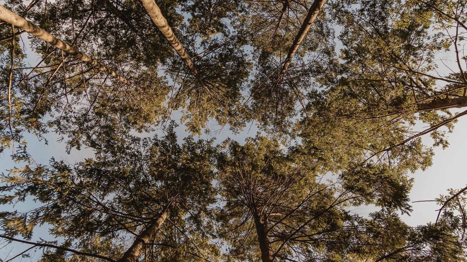 2021 Sustainability Wrap-Up