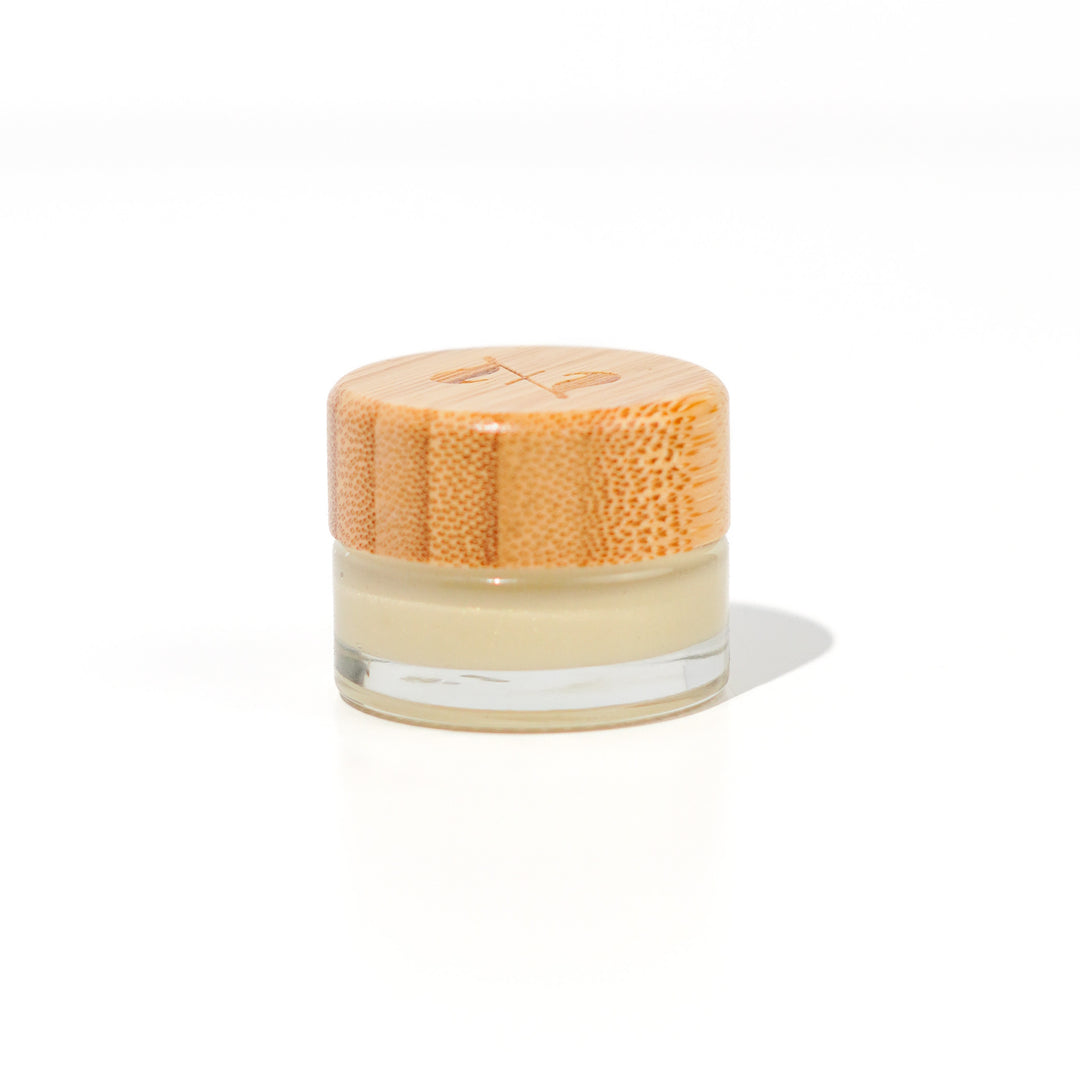 The Jelly - Mini